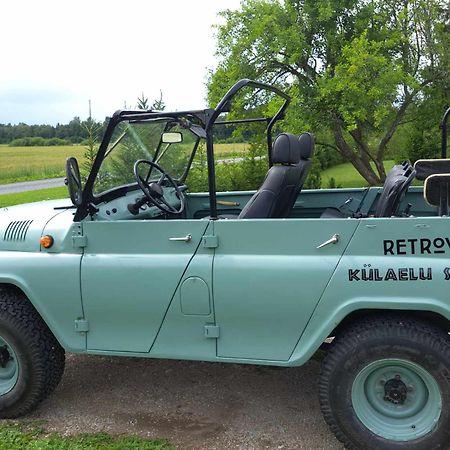 Palade Retrovisiit Leili Villa Kültér fotó
