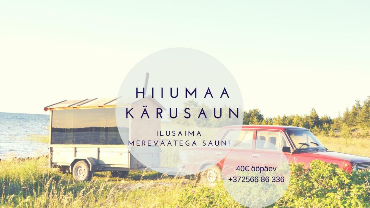 Palade Retrovisiit Leili Villa Kültér fotó